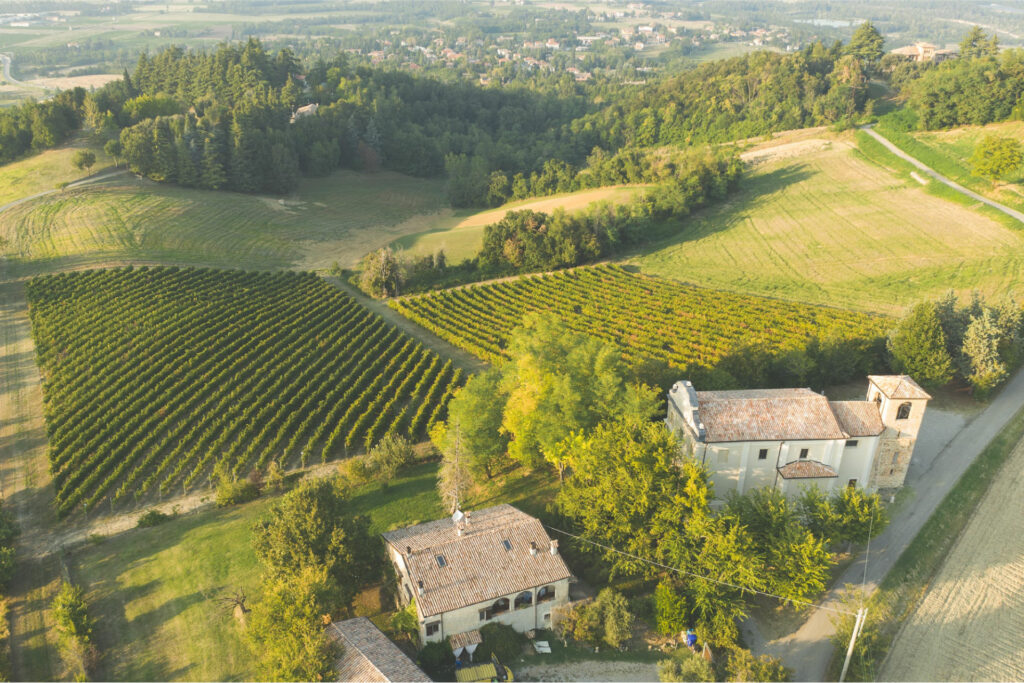 Chiesa di Guardasone e vigneti