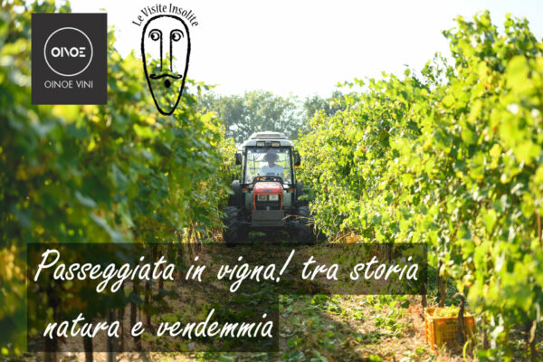 Passeggiata in vigna tra storia e natura