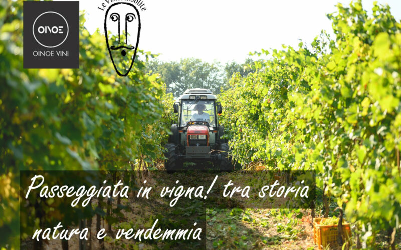 Passeggiata in vigna tra storia e natura